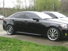 vossen 003