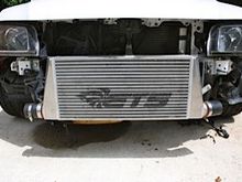 IMG 3173