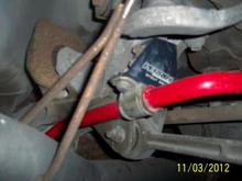 Perrin Stout Mounts
