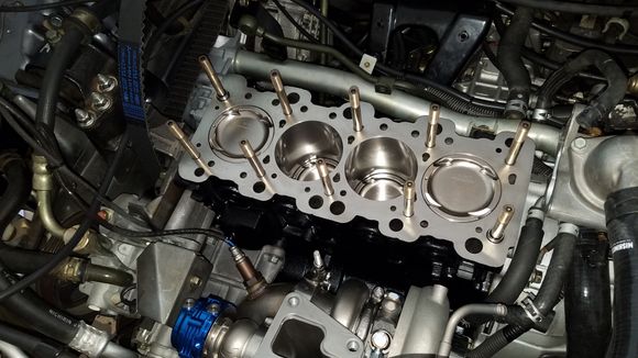 L19 head studs installed into block hand tight with molylube.  Block mating surface thoroughly cleaned with brake cleaner and compressed air.