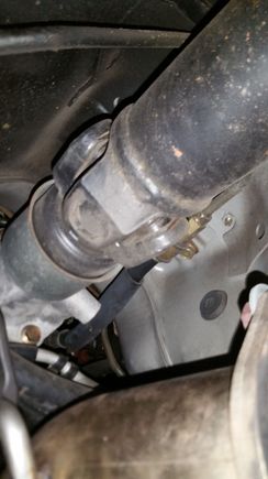 Facing front of car from under cat.