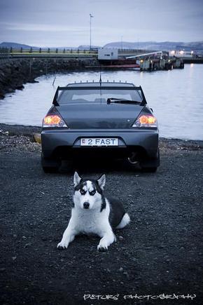 My Evo &amp; My Panda