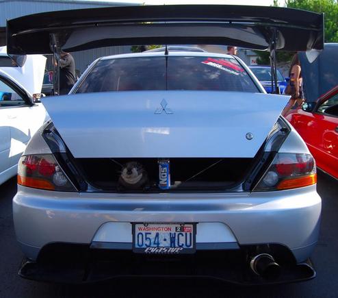 Darwin in the 1st Place Mitsu &amp; Viewer's Choice Winner idrink_v8