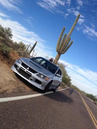 Cactus Tilt