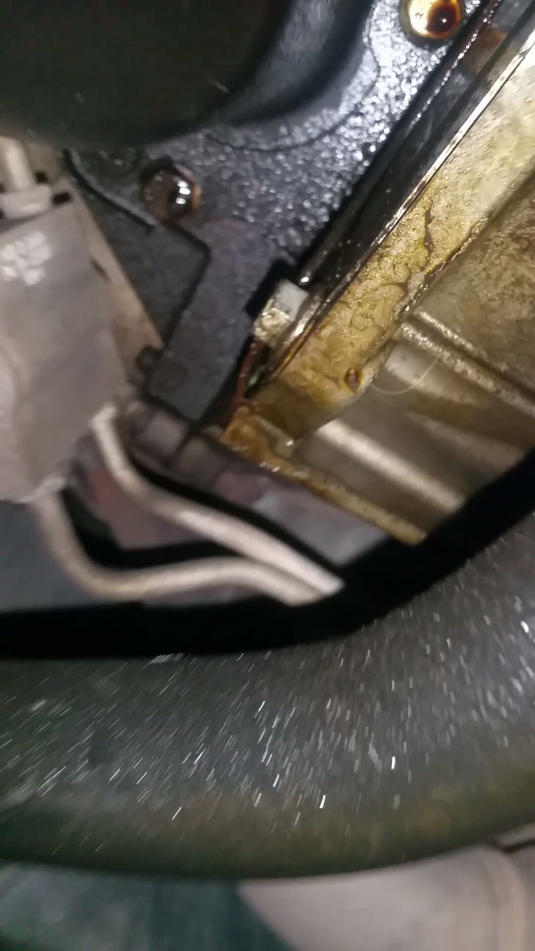 Rear main seal or oil pan gasket ? Ford F150 Forum Community of