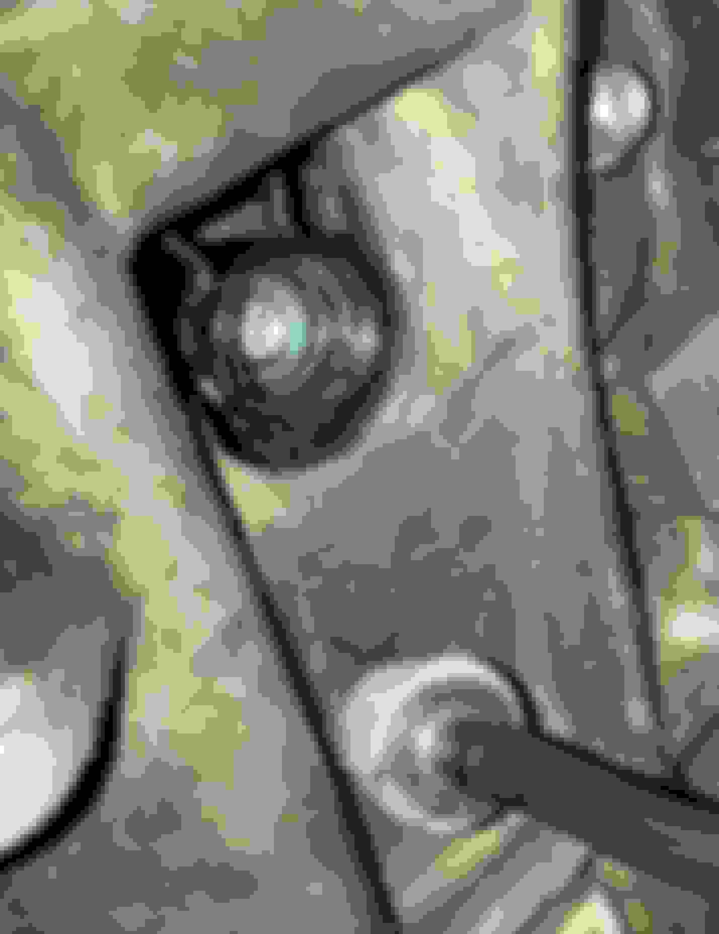 Connecting Clutch Line to Slave Cylinder Ford F150 Forum Community