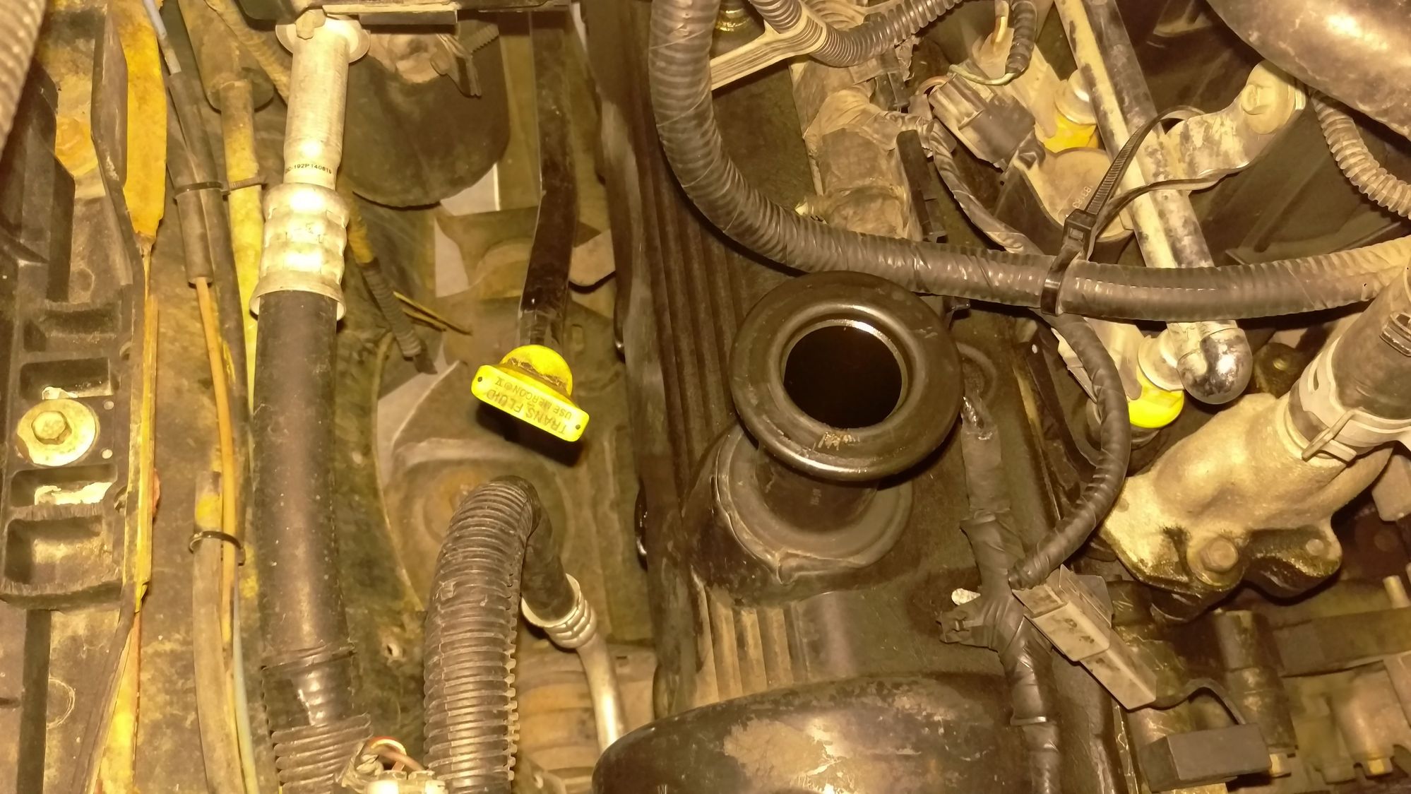 2002 f150 5.4l oil filler cap question... Ford F150 Forum Community