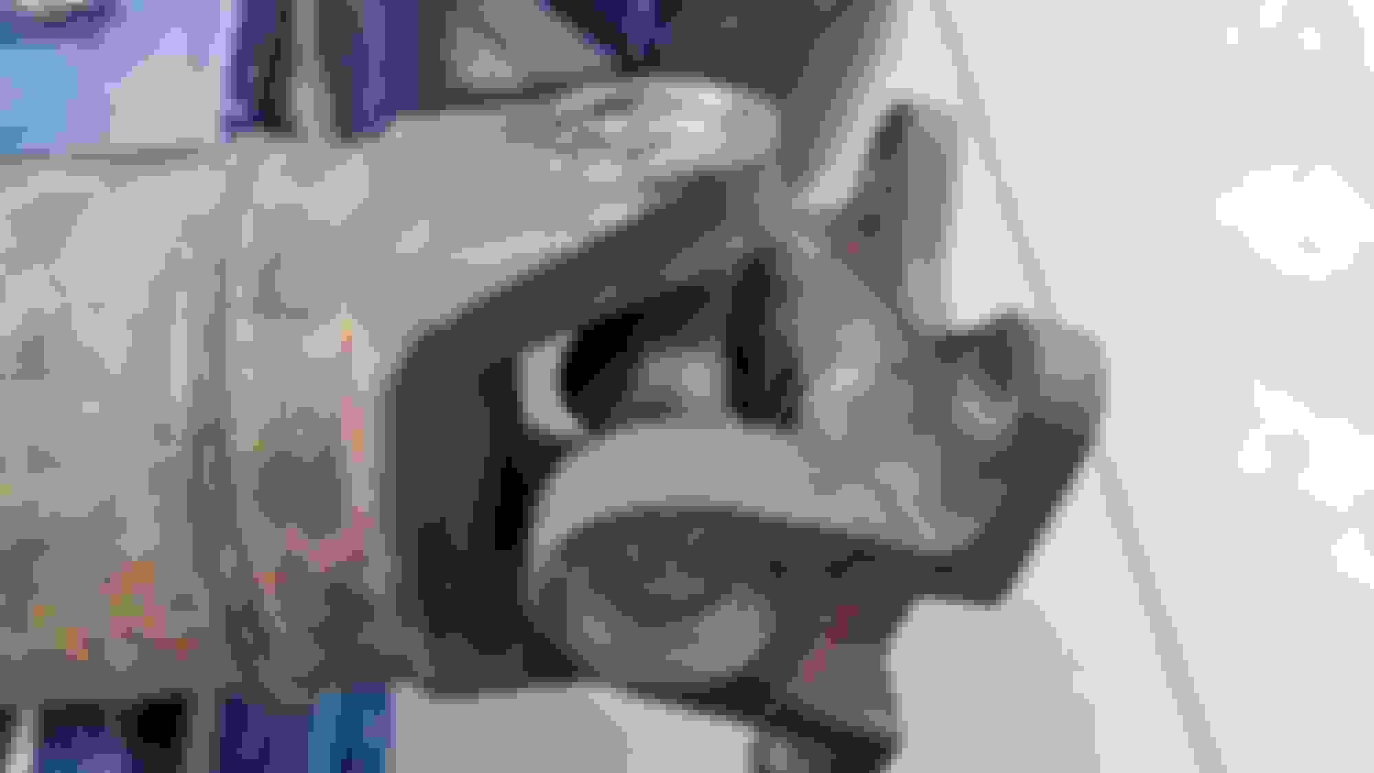 Squeaking noise, I think from the drive shaft... Ford F150 Forum Community of Ford Truck Fans