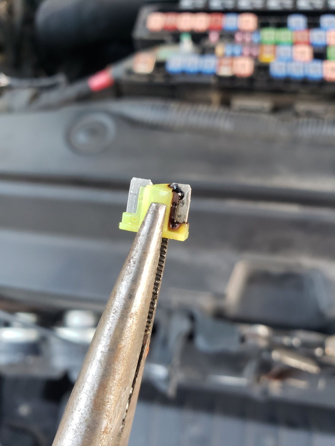 Blown fuel pump relay power fuse Ford F150 Forum Community of Ford