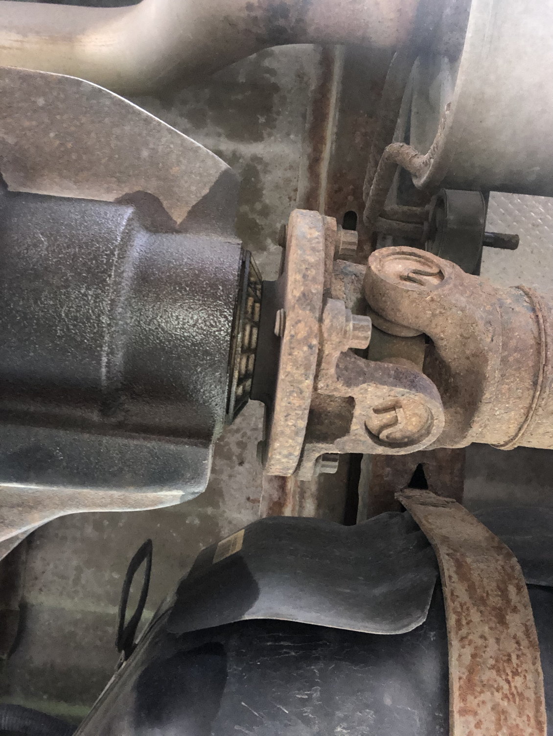 2017 f150 just had rear pinion seal replaced ford f150 forum community of ford truck fans 2017 f150 just had rear pinion seal