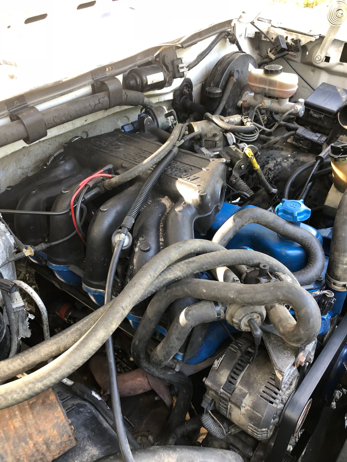 1995 Ford f 150 300 straight 6 Vacuum and egr issues - Ford F150 Forum