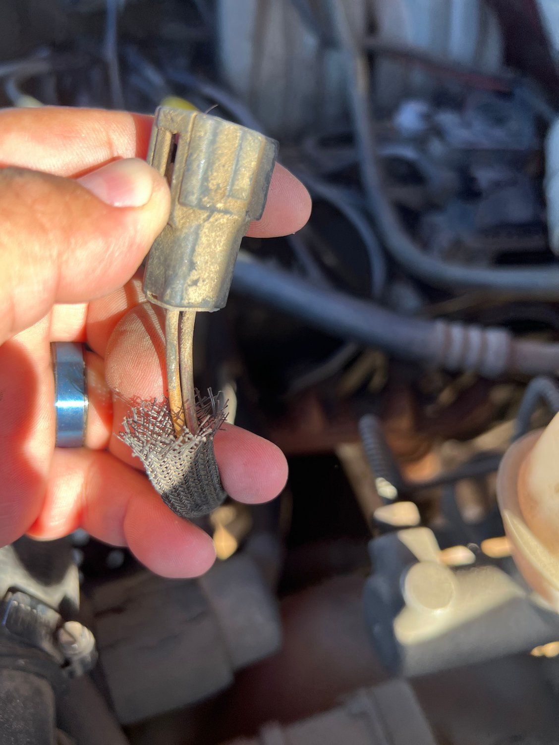 Loose Plug Identification - Ford F150 Forum - Community of Ford Truck Fans