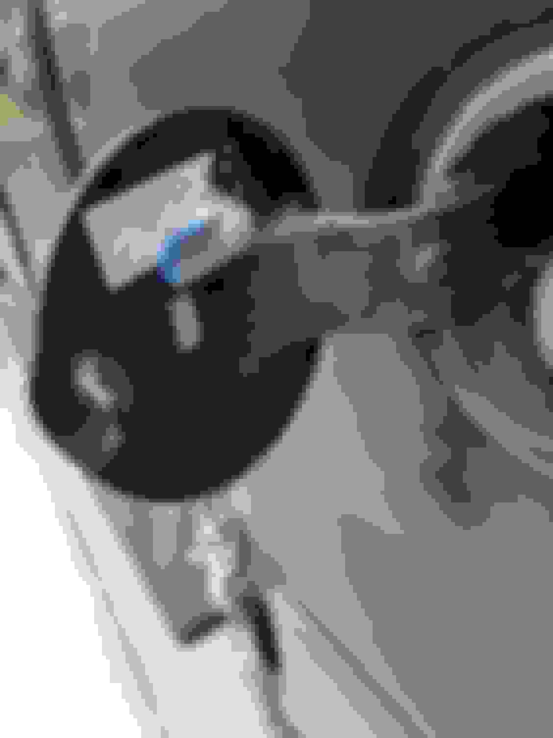 6 solution to the broken spring on fuel door Ford F150 Forum