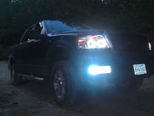 Halos and HID Fogs