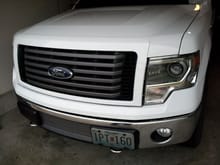 Ox. White  FX2 Grille Installed