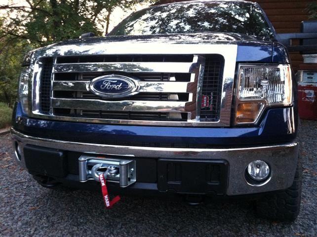 Ford f150 lower grill insert #9