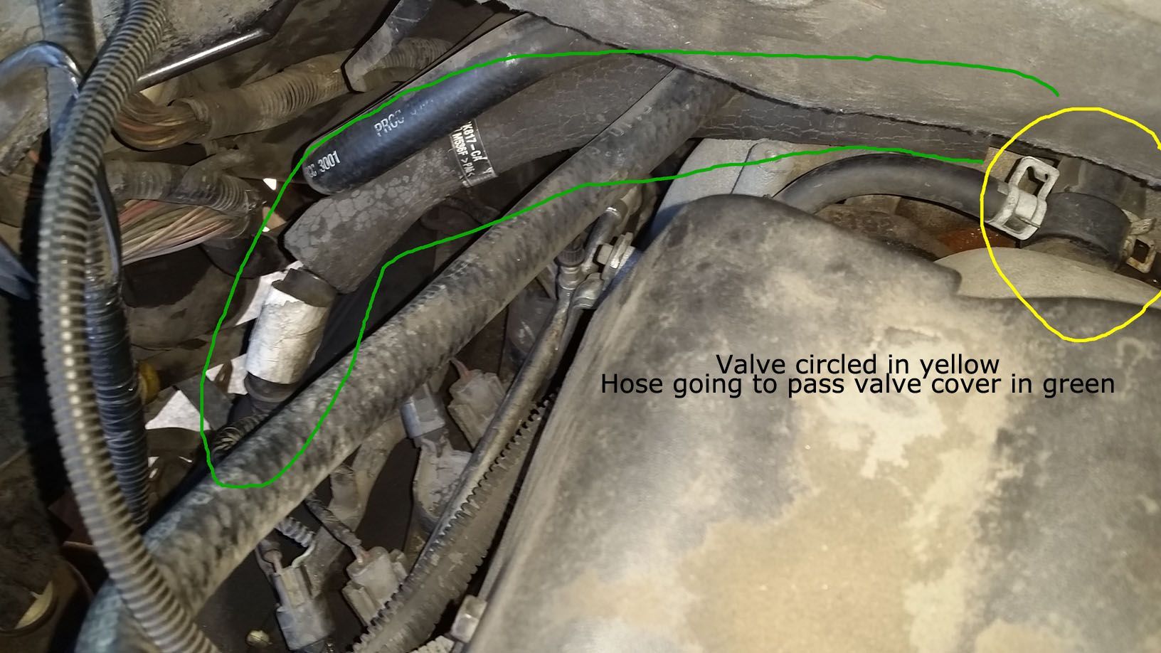 2002 4.6L coolant leak from back of intake PCV valve? (pics