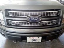 Big difference with painted to match Platinum grill