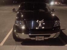 Just put bugs on the grill