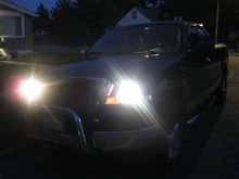 halos and headlights