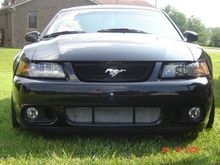 Old Cobra..467rwhp/ 470rwtq.