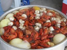 Boiled crawfish, where's the Beer?