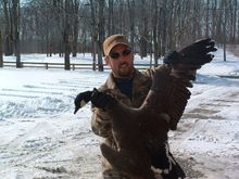 Goose-1