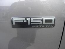 Blacked out badges, painted by me. DSG F-150 inlay from Patriotdecals.com