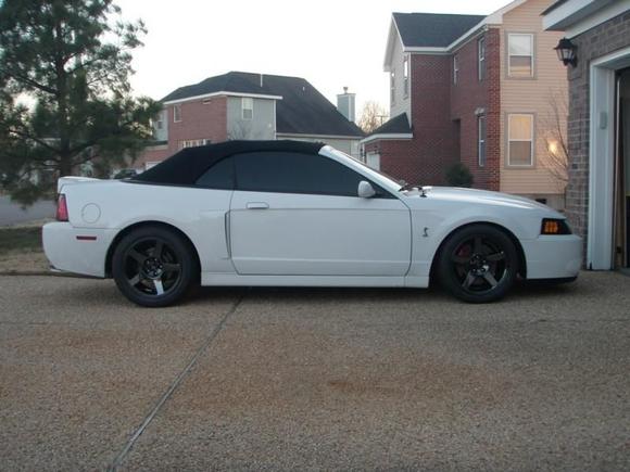 2004 Oxford White Cobra convertible