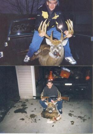 deer