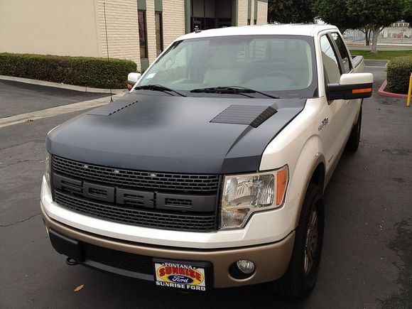 Raptor grille and hood on regular F150