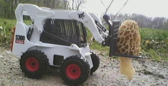 Big Ass 'Shroom!
