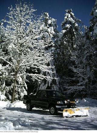 playing in snow