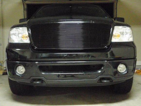 T-Rex Front