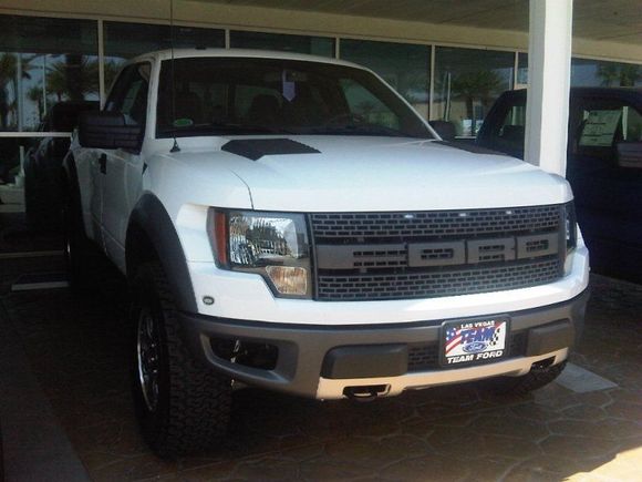 raptor16