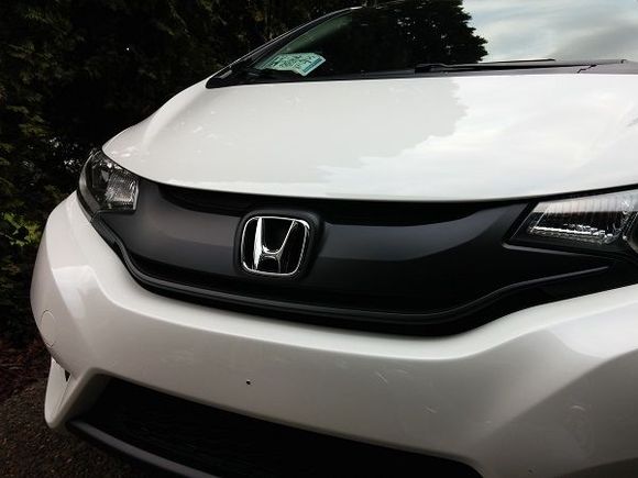 Painted front grill.