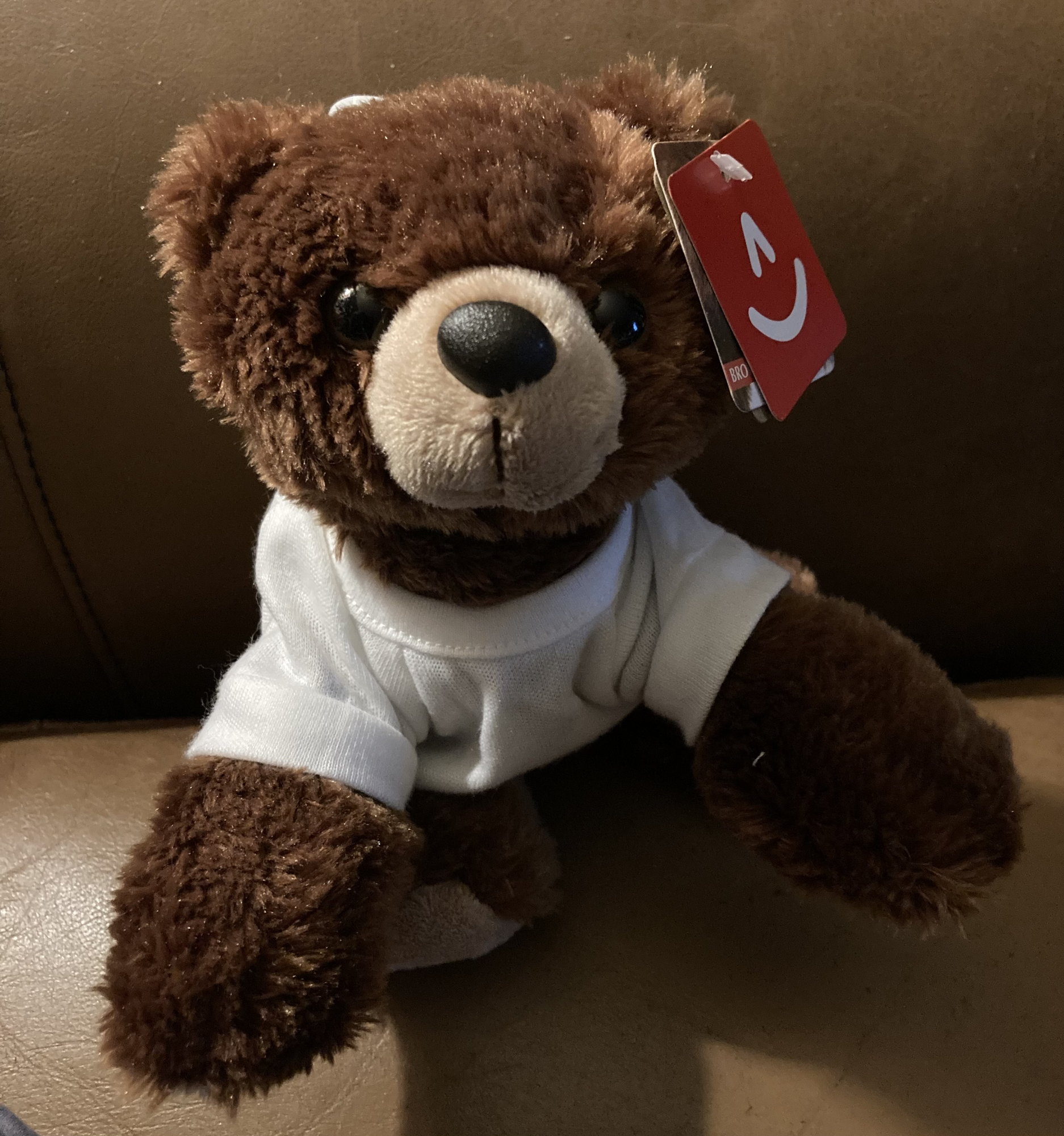 Stuffed Toys from Conrad Hotelswhich ones do you have? - Page 41 -  FlyerTalk Forums