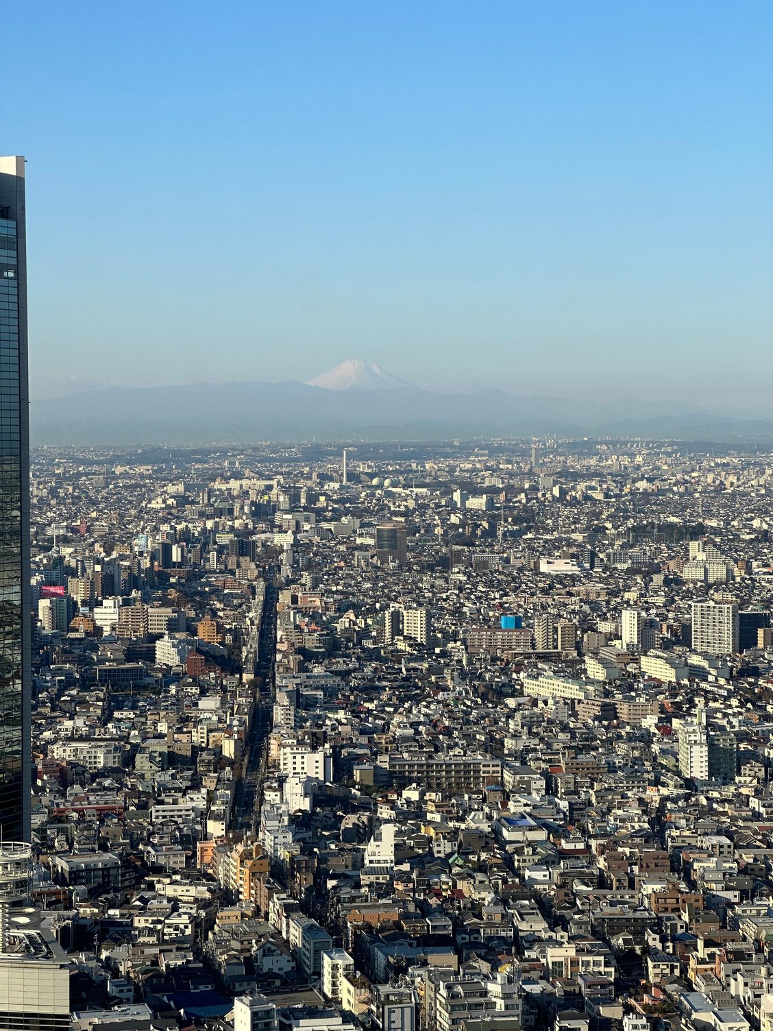 PARK HYATT TOKYO REOPENED 9 DEC 25 REVIEW visual data 3