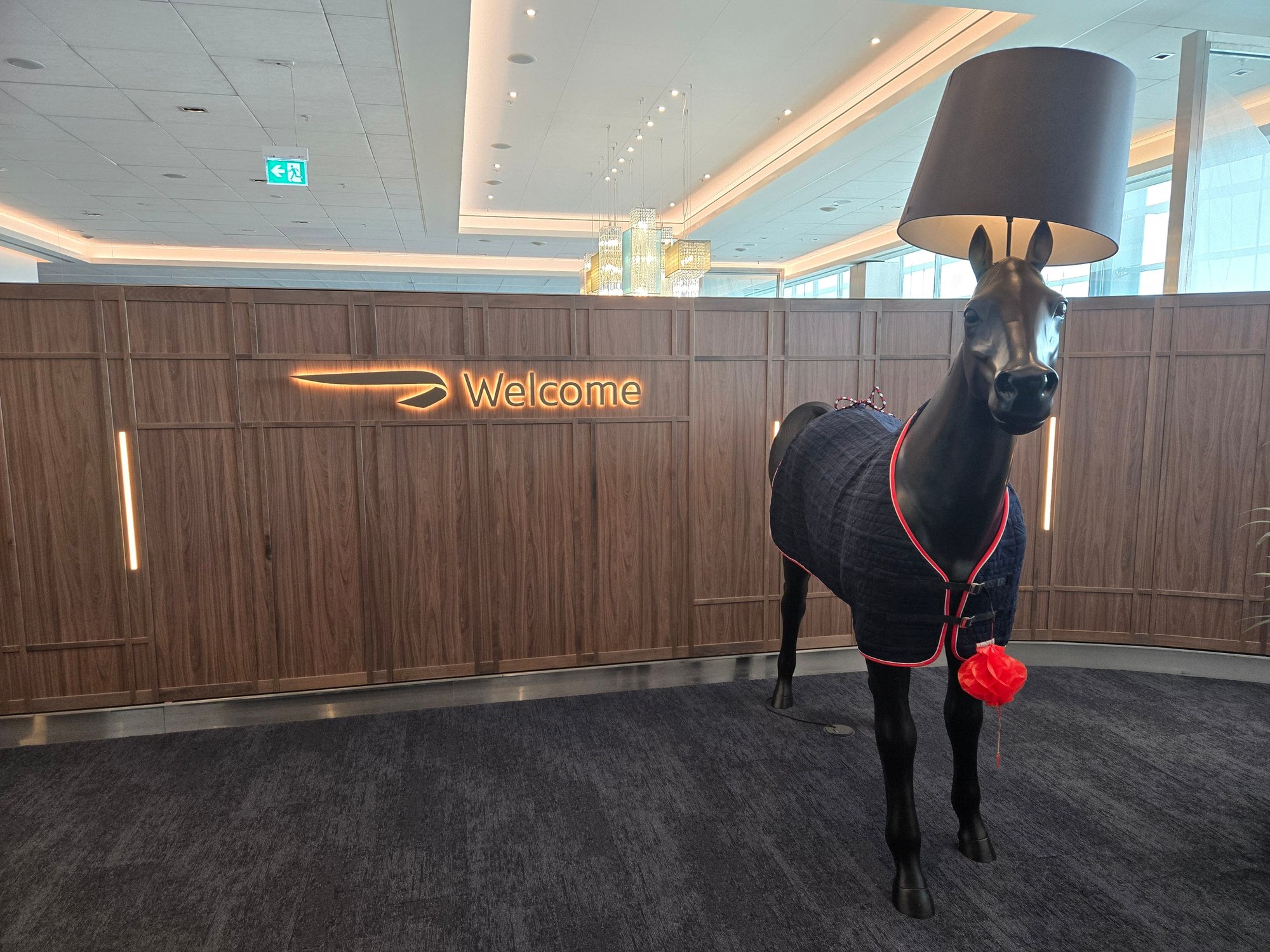 Mandatory horse photo