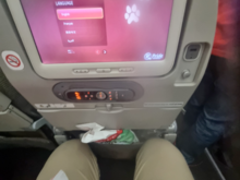 Good luck sleeping with this legroom
