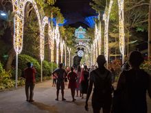 joining the other tourists at the gardens on our second to last night