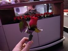 Real roses !
