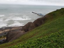 Some vegetation that appears to be holding the cliff together, as it were!