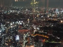 View from the lounge