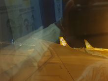 Wings of 787
