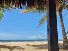 Palapa #13