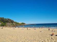Freshwater Beach