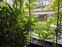 Balcony view looking into the restaurant