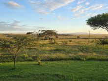 Naboisho Camp, Mara Naboisho Conservancy, Kenya