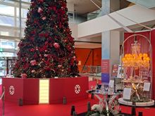 The Baccarat christmas tree and display at the adjacent Hilton plaza ( west i think ) through a lobby door. piano to the left. Beautiful display 